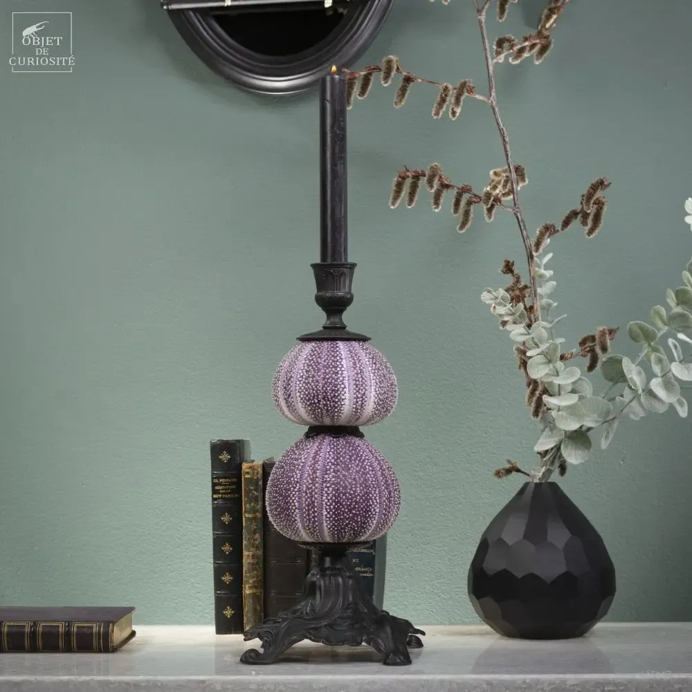 Decorative objects - Rainbow crystal box - OBJET DE CURIOSITÉ