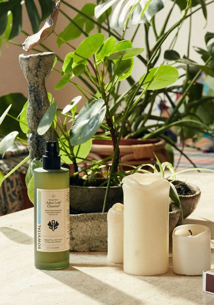 Parfums d'intérieur - Nettoyant Aqua Leaf pour plantes d'intérieur - SOWVITAL