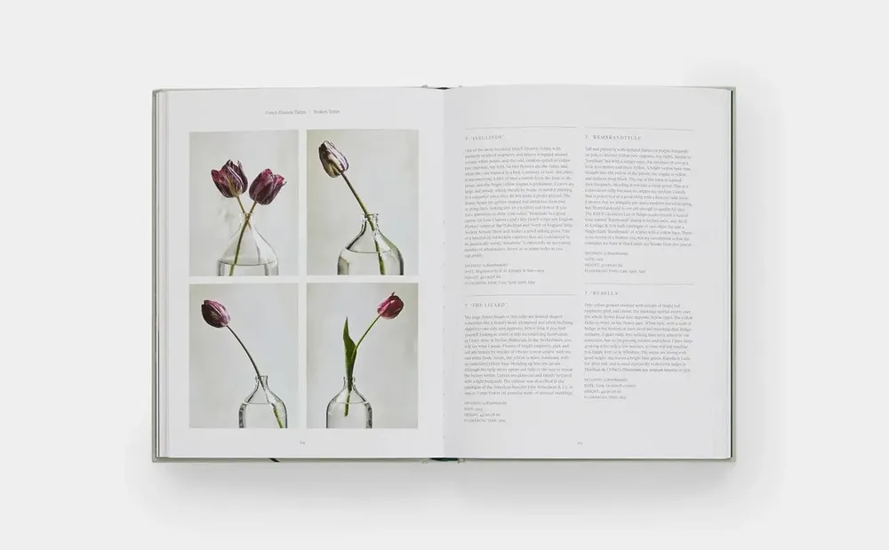 Tables basses - Cabine | Livre - NEW MAGS