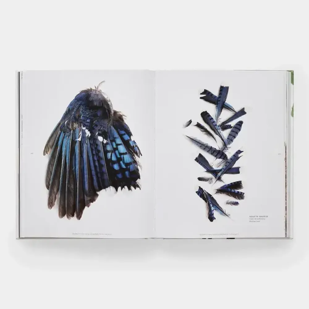 Papeterie - Still: The Art of Noticing - PHAIDON
