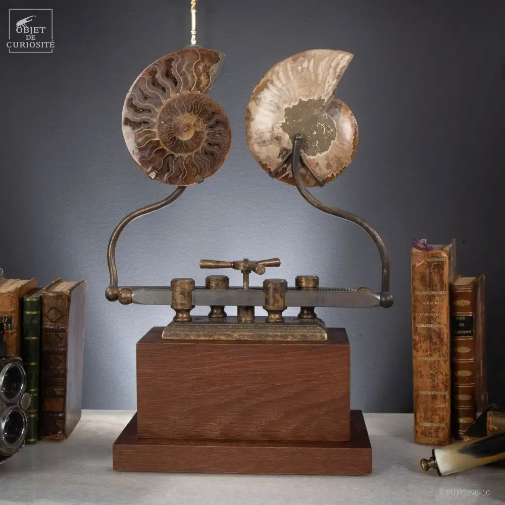 Decorative objects - Our new products - OBJET DE CURIOSITÉ