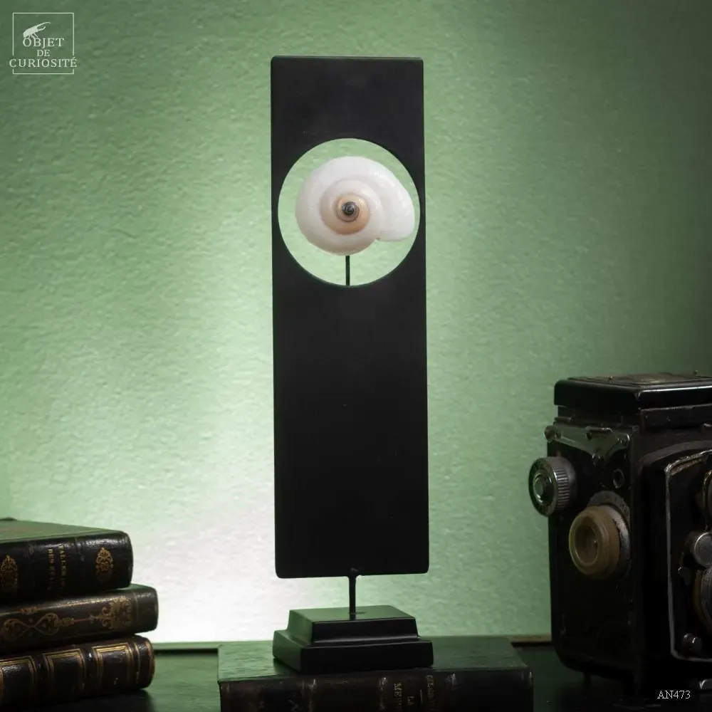 Decorative objects - Our new products - OBJET DE CURIOSITÉ