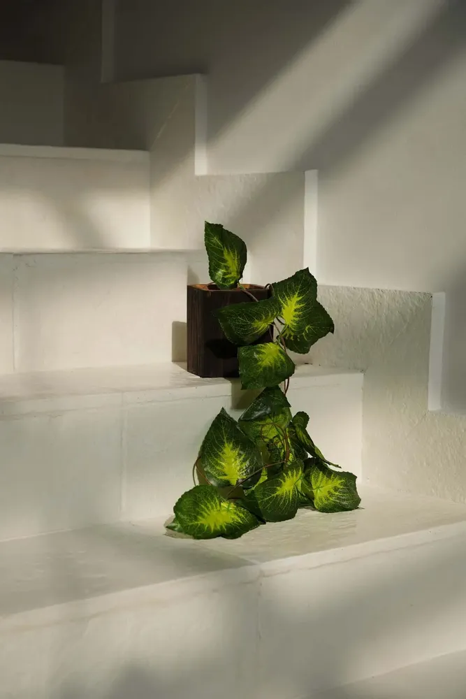 Vases - The Bondi Vase - Square - BAZAR BIZAR LIVING