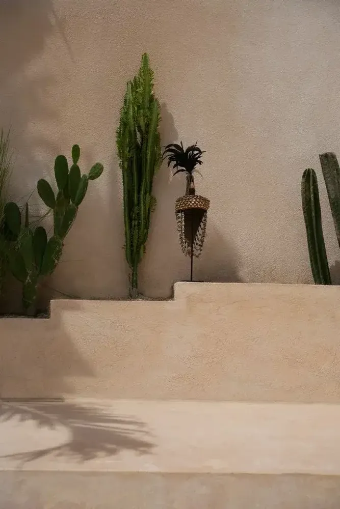 Objets de décoration - Shell Hat Sur Pied - Naturel Noir - BAZAR BIZAR LIVING