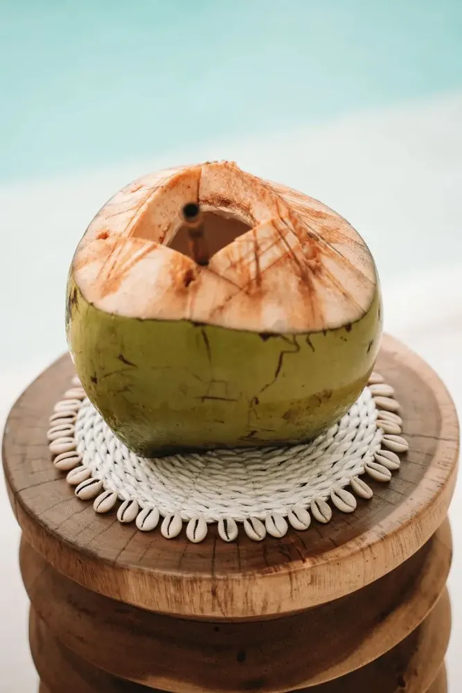 Maniques - Le Dessous De Plat Seagrass Shell - Blanc - BAZAR BIZAR LIVING