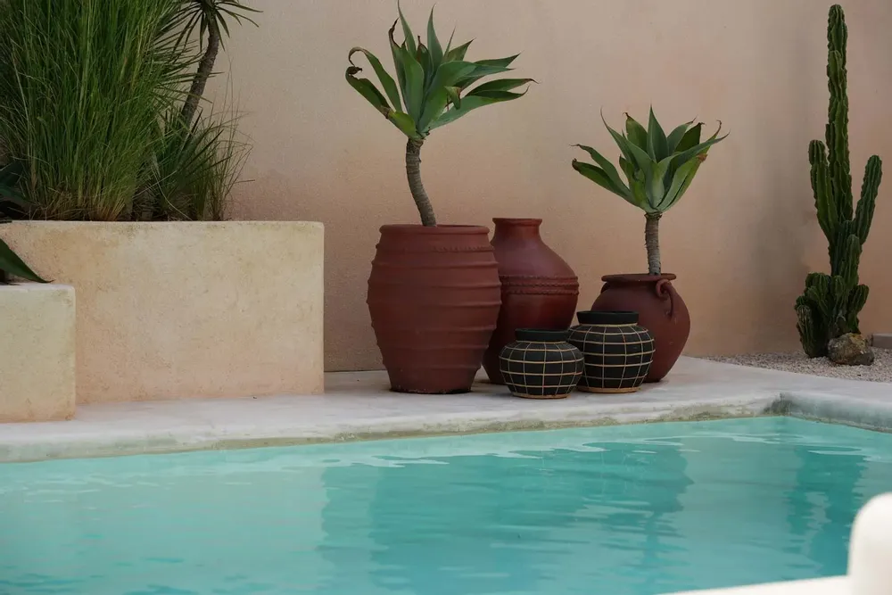 Vases - Le Vase Belly - Noir Naturel - L - BAZAR BIZAR LIVING