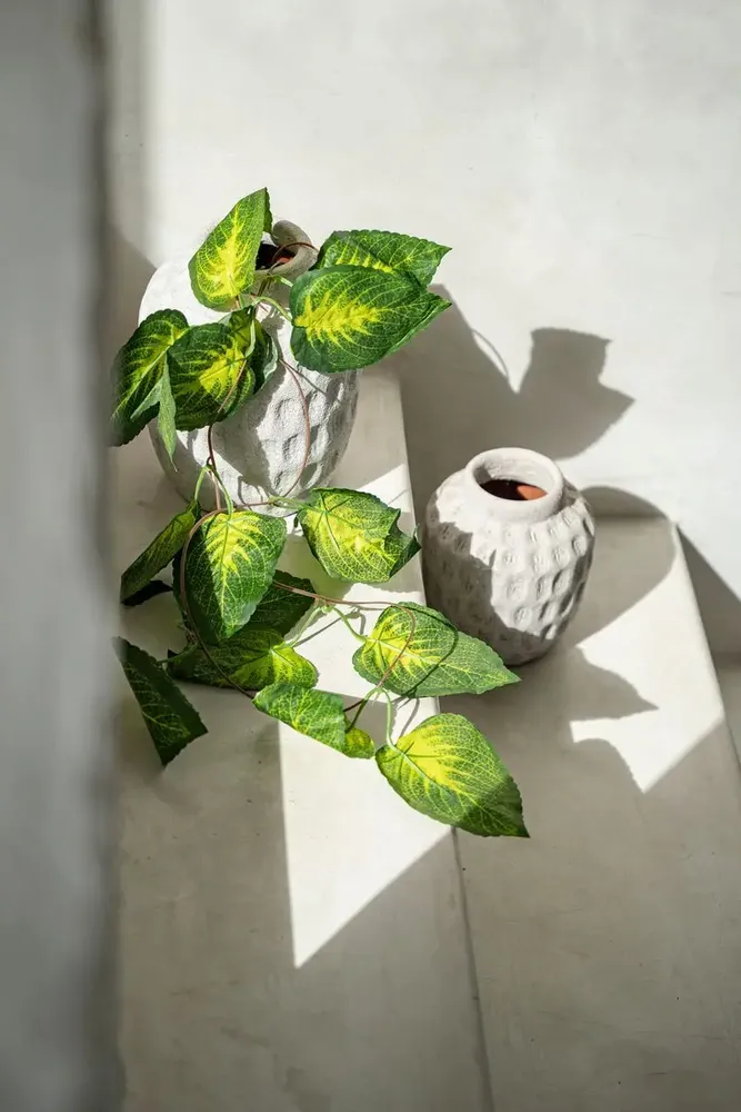 Vases - The Trendy Vase - Concrete - M - BAZAR BIZAR LIVING