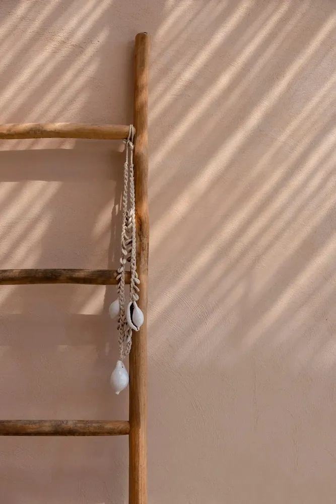 Jewelry - The Big White Cowrie Shell Necklace - BAZAR BIZAR LIVING