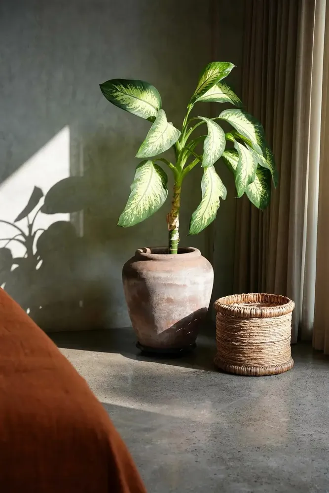 Caskets and boxes - The Chuka Basket - BAZAR BIZAR LIVING