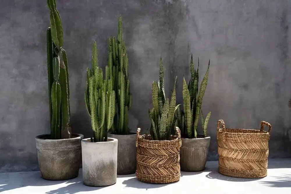 Boîtes de rangement  - Le Panier Zigzag Banana - M - BAZAR BIZAR LIVING