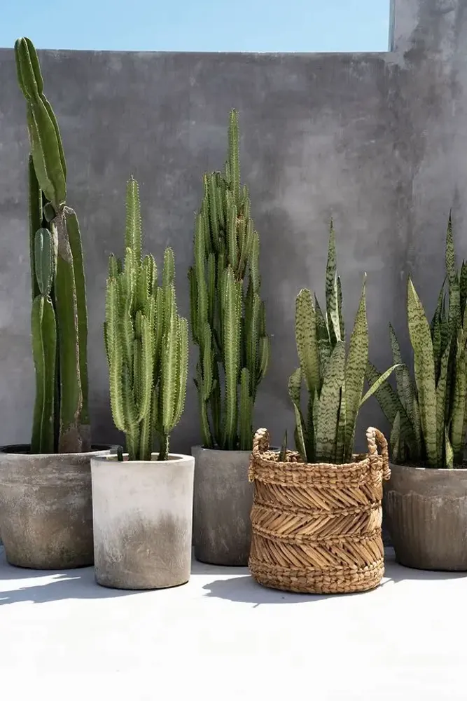 Boîtes de rangement  - Le Panier Zigzag Banana - M - BAZAR BIZAR LIVING