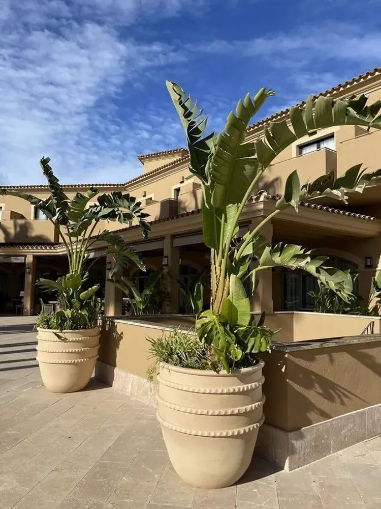 Accessoires de déco extérieure - Pot traditionnel - Grande Taille - GUADARTE