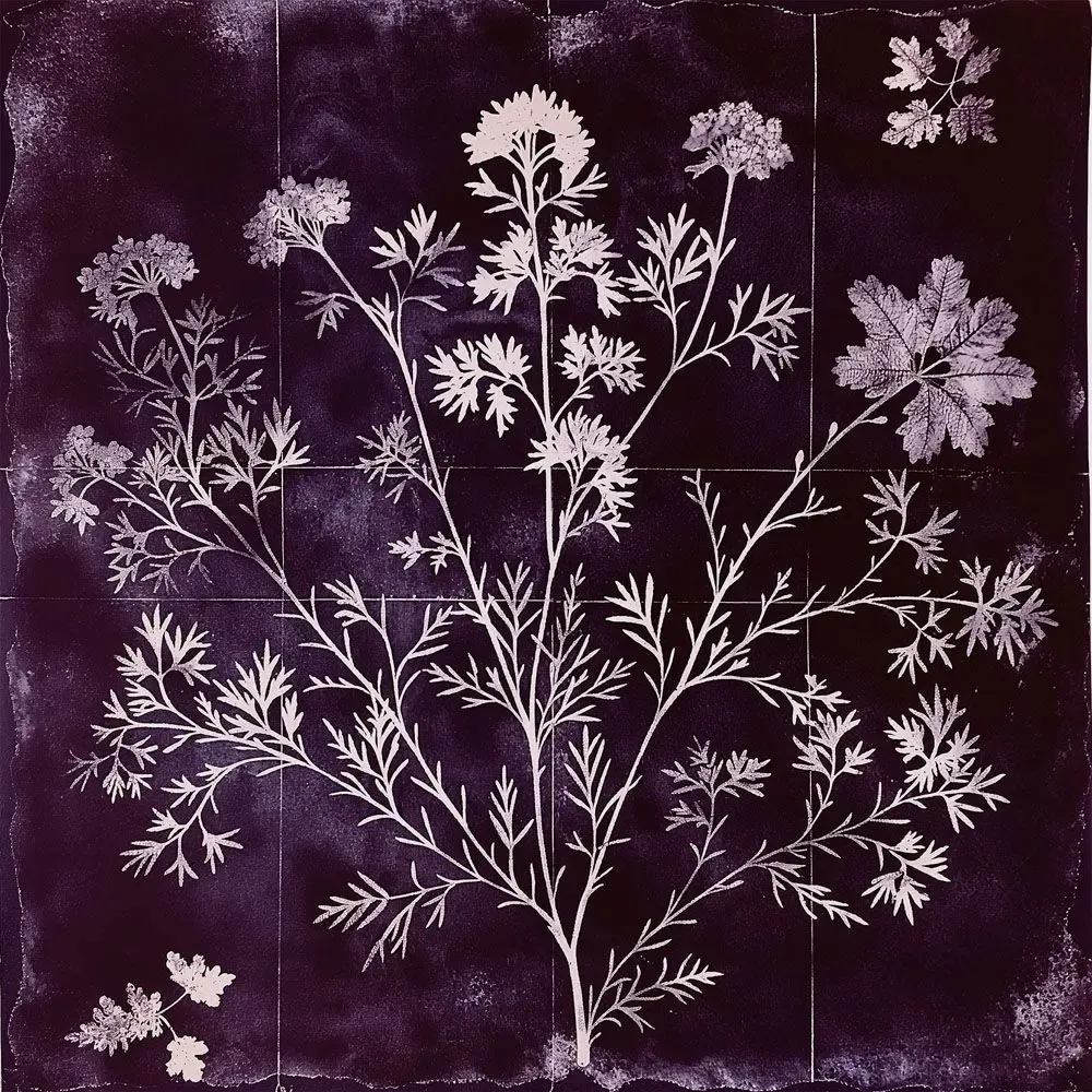 Papiers peints - Feuille de papier peint n°10 - Vienna Herbarium - JOLI JOUR PARIS