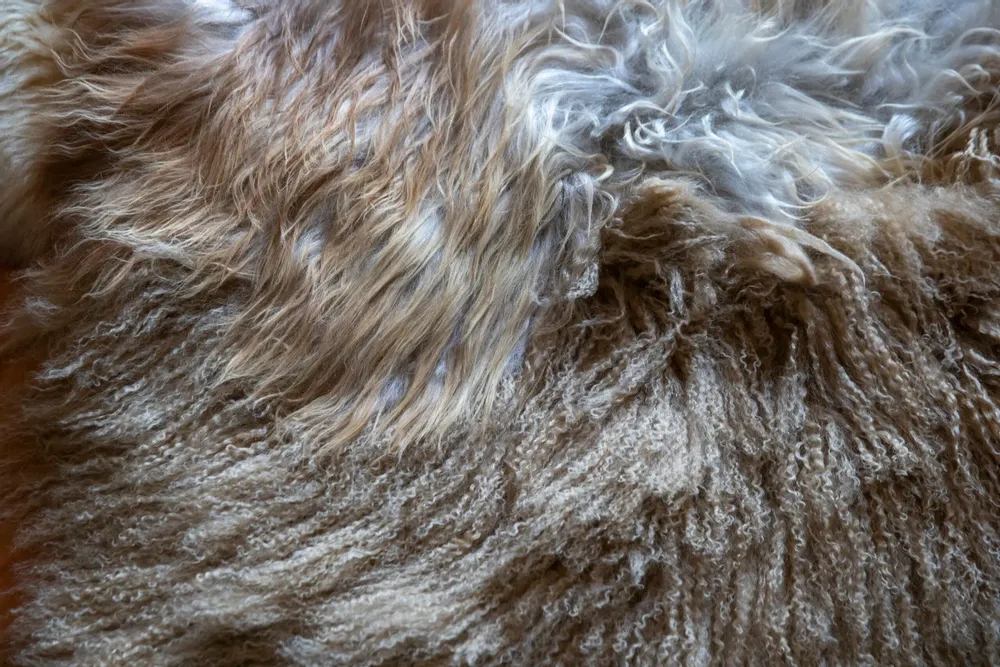 Rugs - Eclat rug created by Carine Boxy - JOLI JOUR PARIS