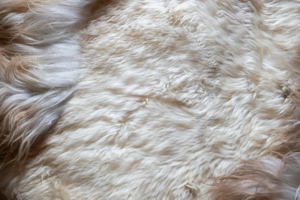 Rugs - Eclat rug created by Carine Boxy - JOLI JOUR PARIS