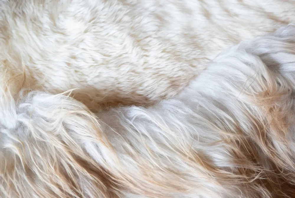 Rugs - Eclat rug created by Carine Boxy - JOLI JOUR PARIS