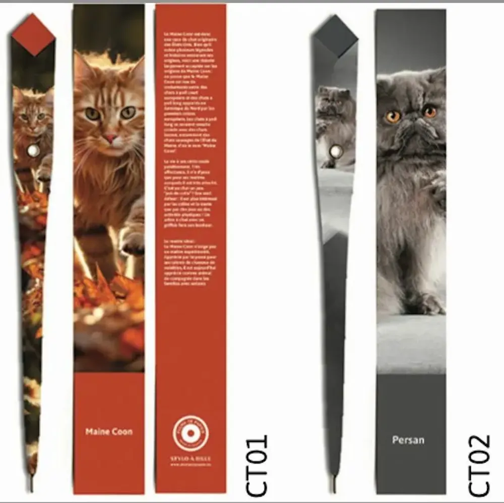 Stylos, feutres et crayons - 48 Stylos en papier - COLLECTION CHAT - PLUME DE PAPIER