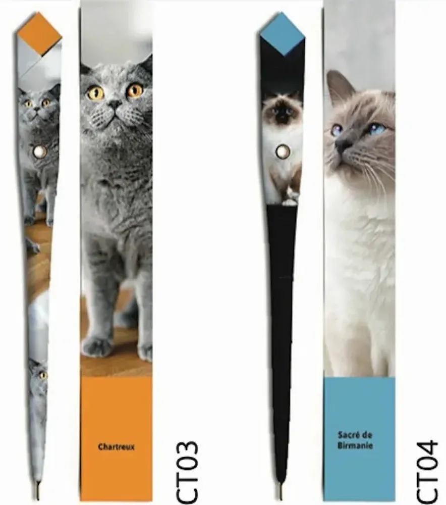 Stylos, feutres et crayons - 48 Stylos en papier - COLLECTION CHAT - PLUME DE PAPIER
