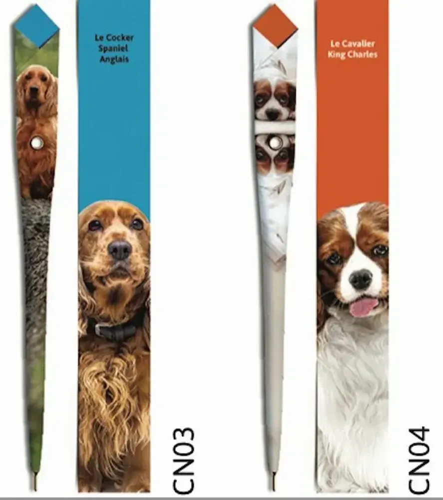 Stylos, feutres et crayons - 48 Stylos en papier - COLLECTION CHIEN - PLUME DE PAPIER