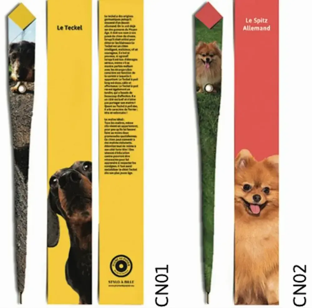 Stylos, feutres et crayons - 48 Stylos en papier - COLLECTION CHIEN - PLUME DE PAPIER