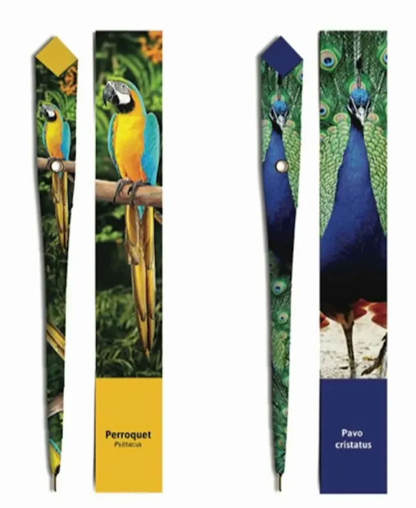 Stylos, feutres et crayons - 48 Stylos en papier - COLLECTION ANIMAUX - PLUME DE PAPIER