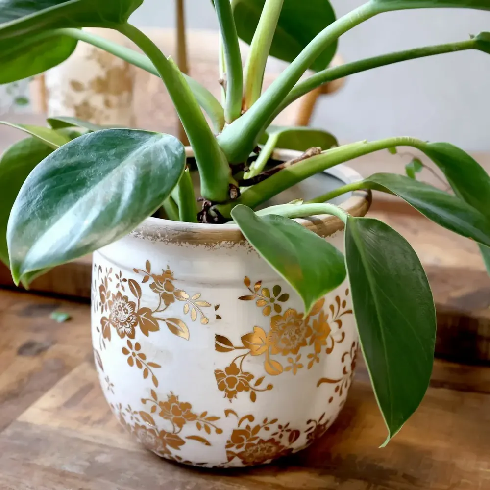 Floral decoration - Anniversary - CHIC ANTIQUE A/S