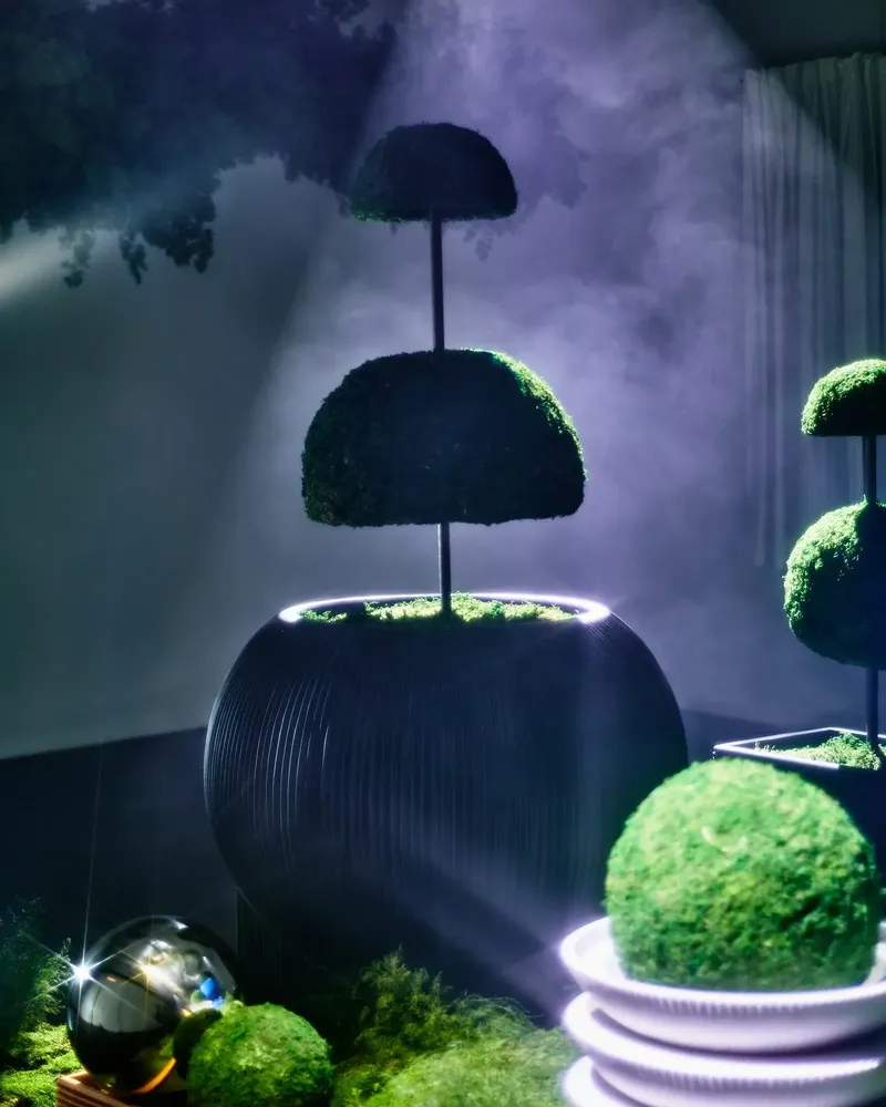 Garden accessories - Oversized Flat Blob Fiberglass Planter 'Black' by Tuleste Factory - TULESTE FACTORY