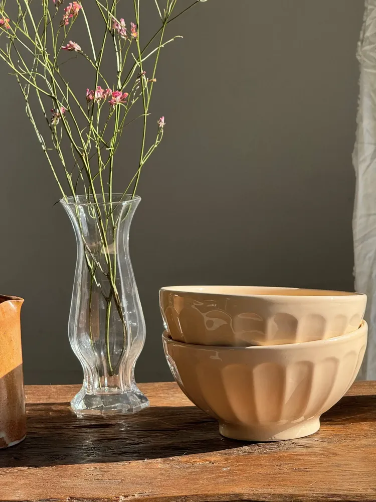 Bowls - 2 large vintage light pink bowls D18 - OFFICE OBJETS