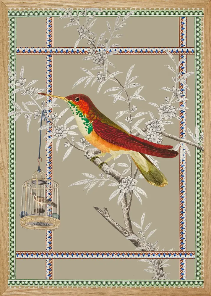 Poster - bird of paradise illustration - PARADISIO IMAGINARIUM
