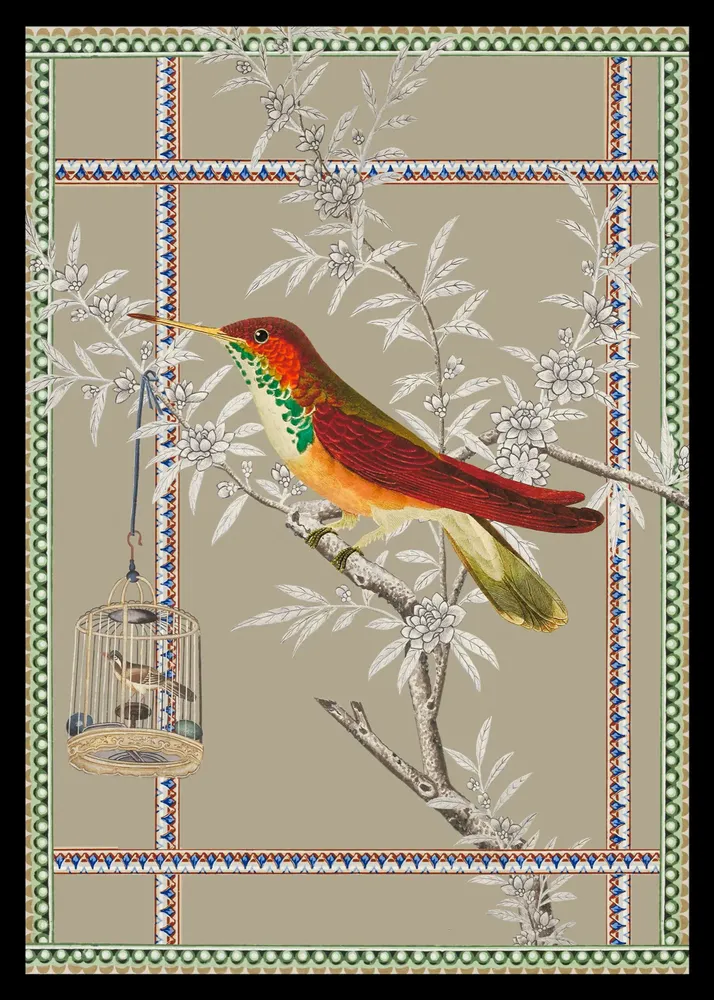 Poster - bird of paradise illustration - PARADISIO IMAGINARIUM