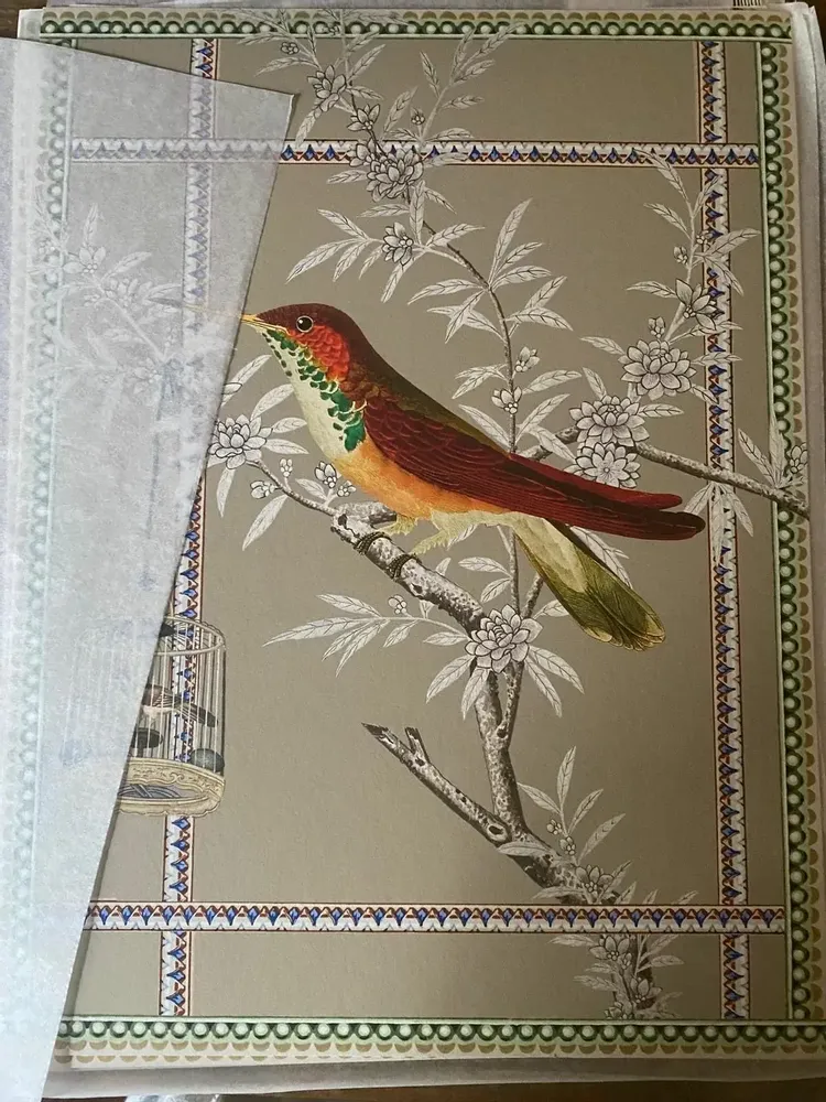 Poster - bird of paradise illustration - PARADISIO IMAGINARIUM
