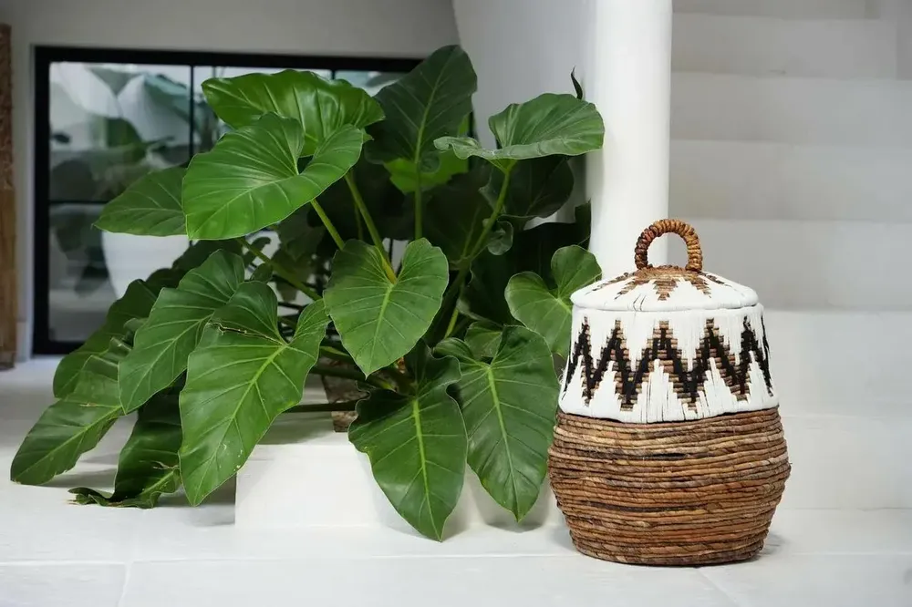 Paniers à linge - Le panier de plage Little Bay - Blanc naturel - M - BAZAR BIZAR LIVING