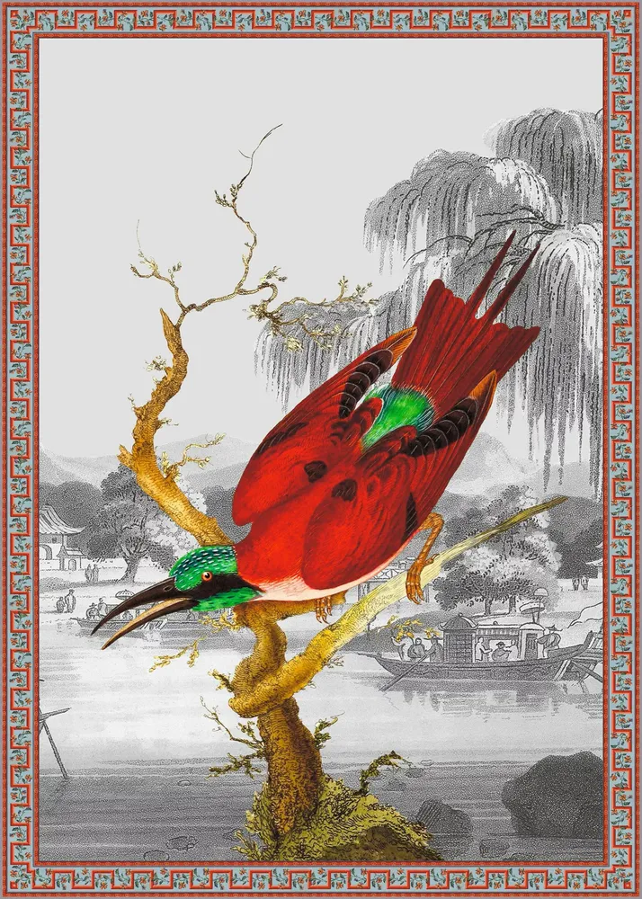 Poster - Cardinal illustration - PARADISIO IMAGINARIUM