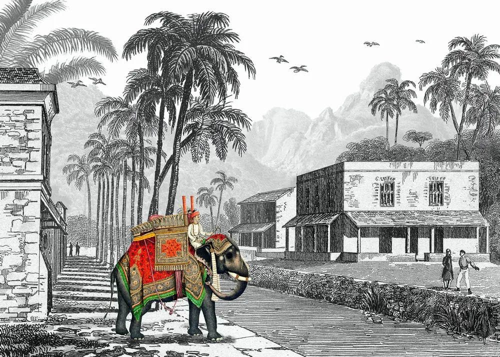 Poster - Maharaja illustration - PARADISIO IMAGINARIUM