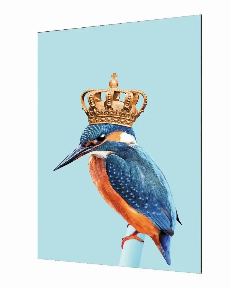 Affiches - Collection Jonas Loose - BLUE SHAKER