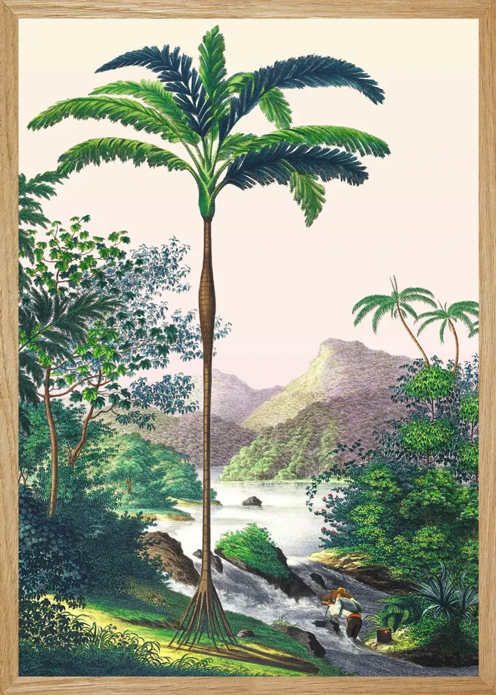 Affiches - Illustration Sur les rives de Japura - PARADISIO IMAGINARIUM