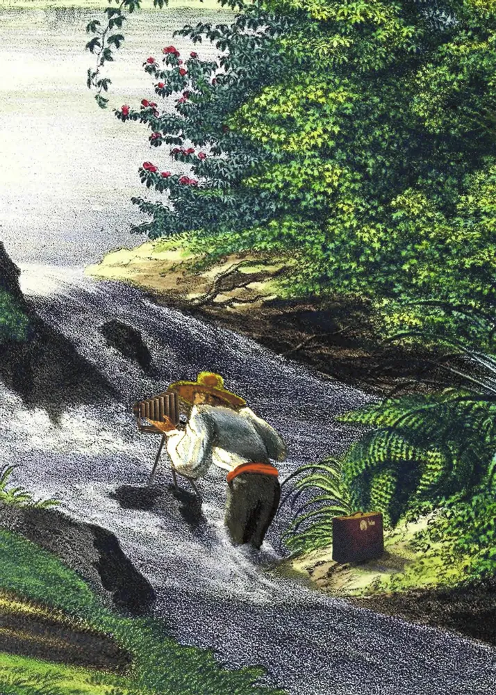 Affiches - Illustration Sur les rives de Japura - PARADISIO IMAGINARIUM