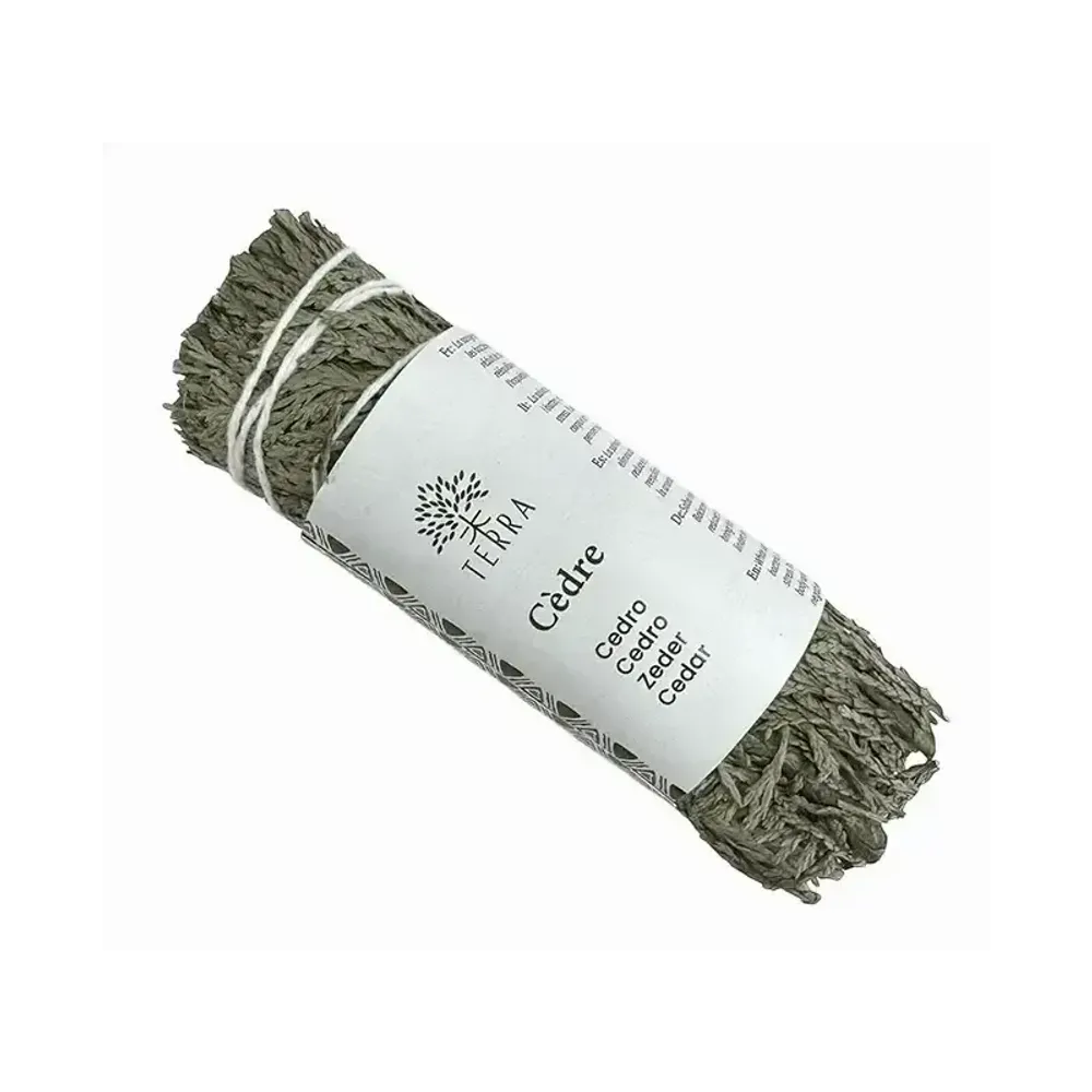 Senteurs - Cedre blanc thuya naturel fagot 25-30g 10cm - ARABESK