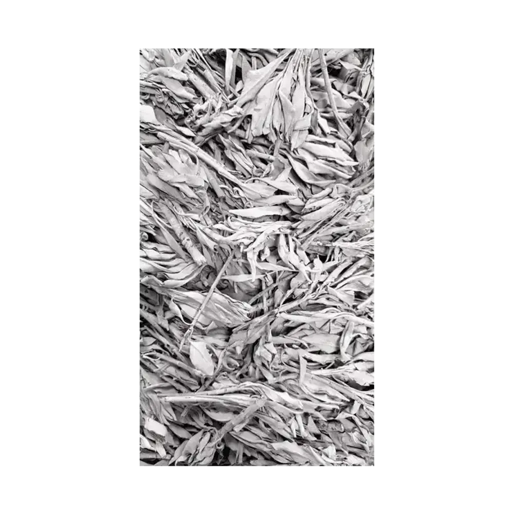 Scents - White Sage California Superior Quality 1KG - ARABESK