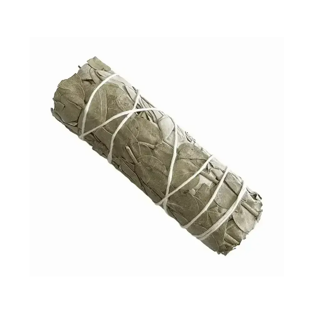 Scents - White sage & Eucalyptus bundle 25-30g 10cm - ARABESK