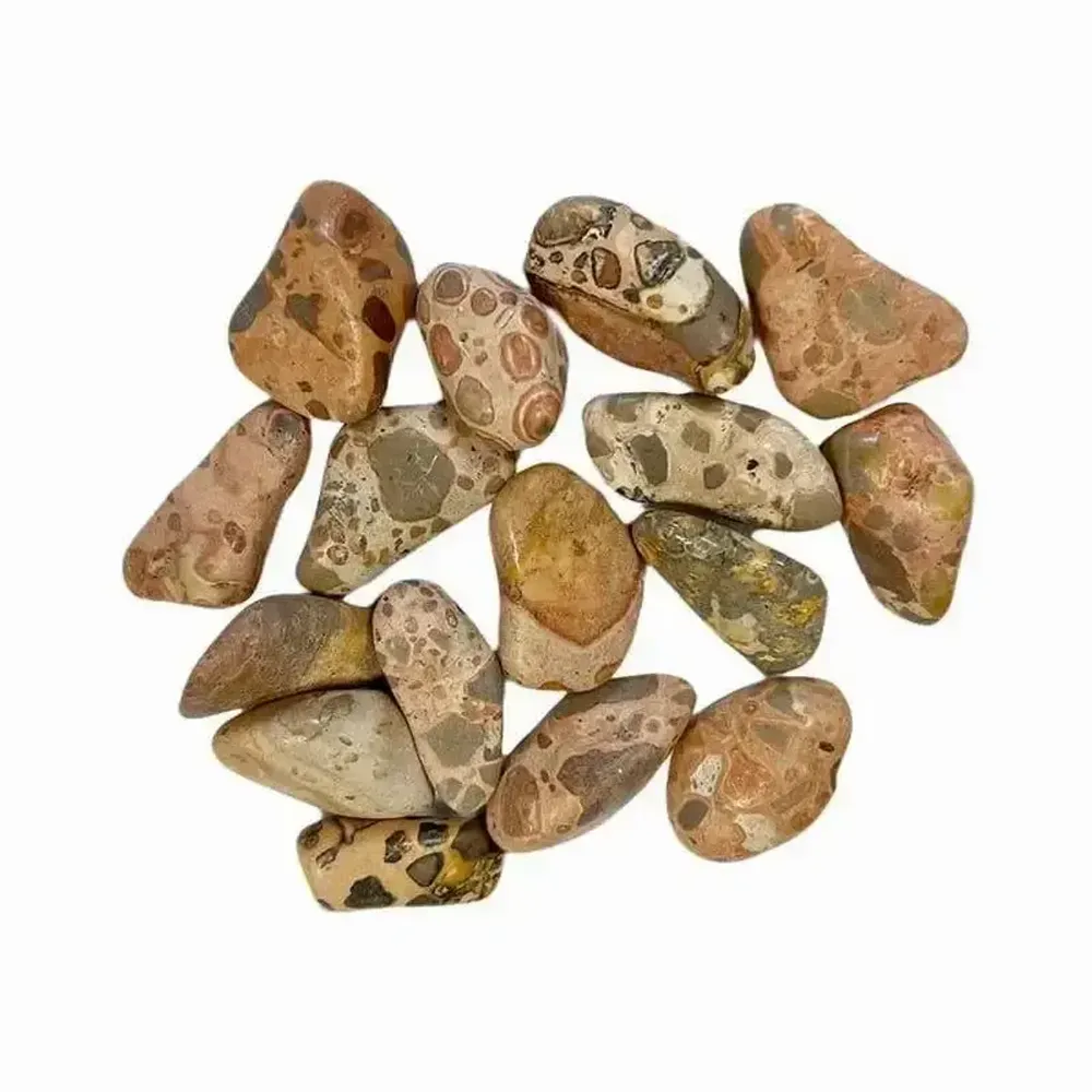 Jewelry - Leopard Jasper Rhyolite AB tumbled stone 250g - ARABESK