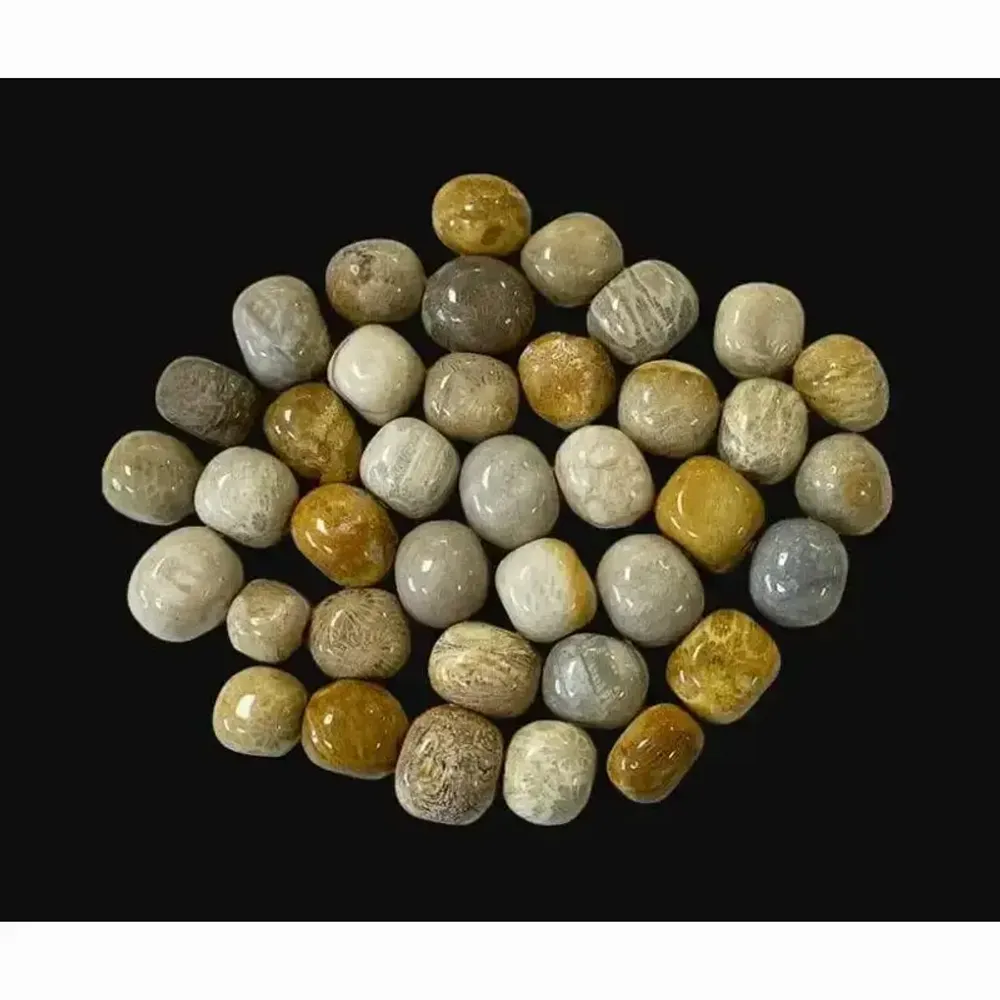 Bijoux - Corail Fossile A pierres roulées 250g - ARABESK