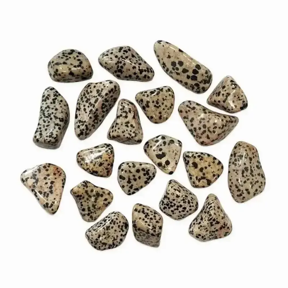 Jewelry - Dalmatian Jasper AB tumbled stones 250g - ARABESK