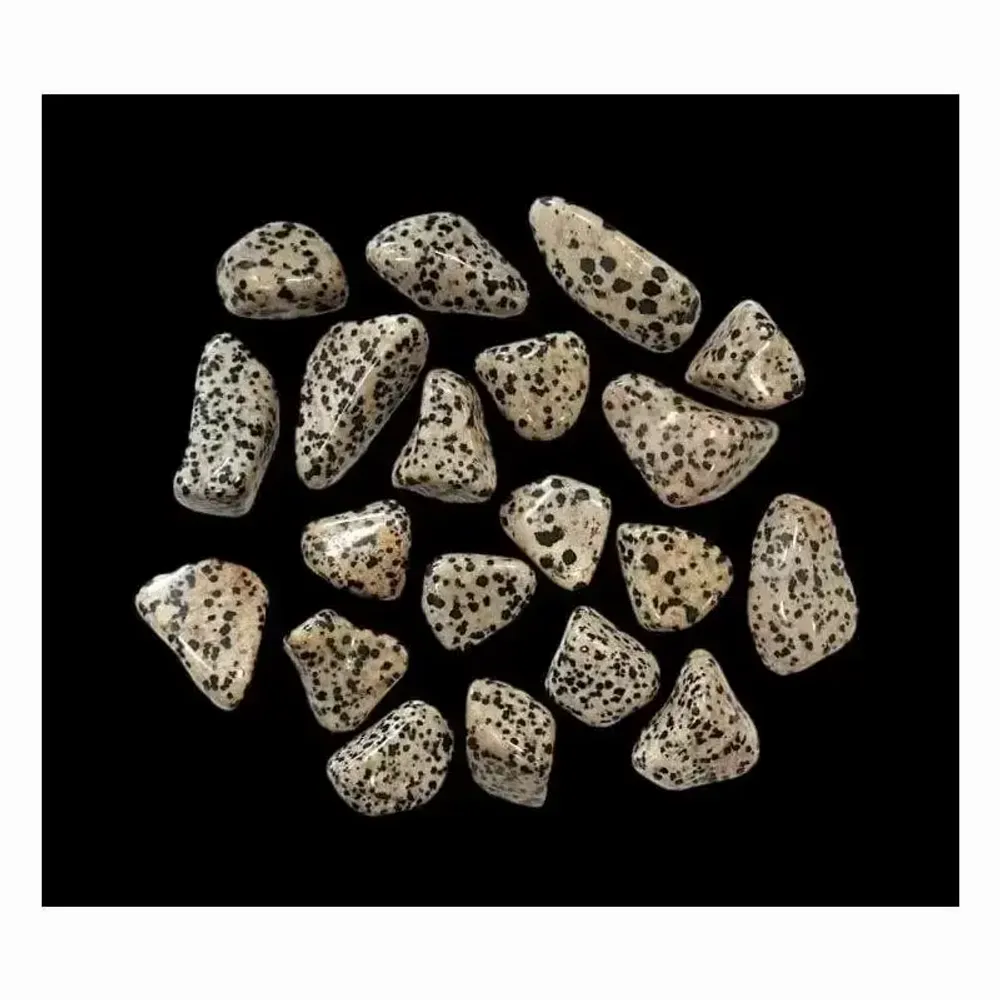 Jewelry - Dalmatian Jasper AB tumbled stones 250g - ARABESK