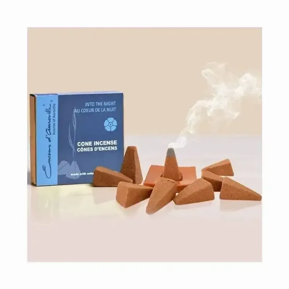 Scents - Auroville Into The Night Incense 5x10 Cones - ARABESK