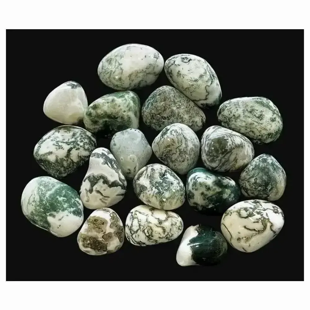 Jewelry - Tree Agate AA tumbled stone 2-3cm 250g - ARABESK