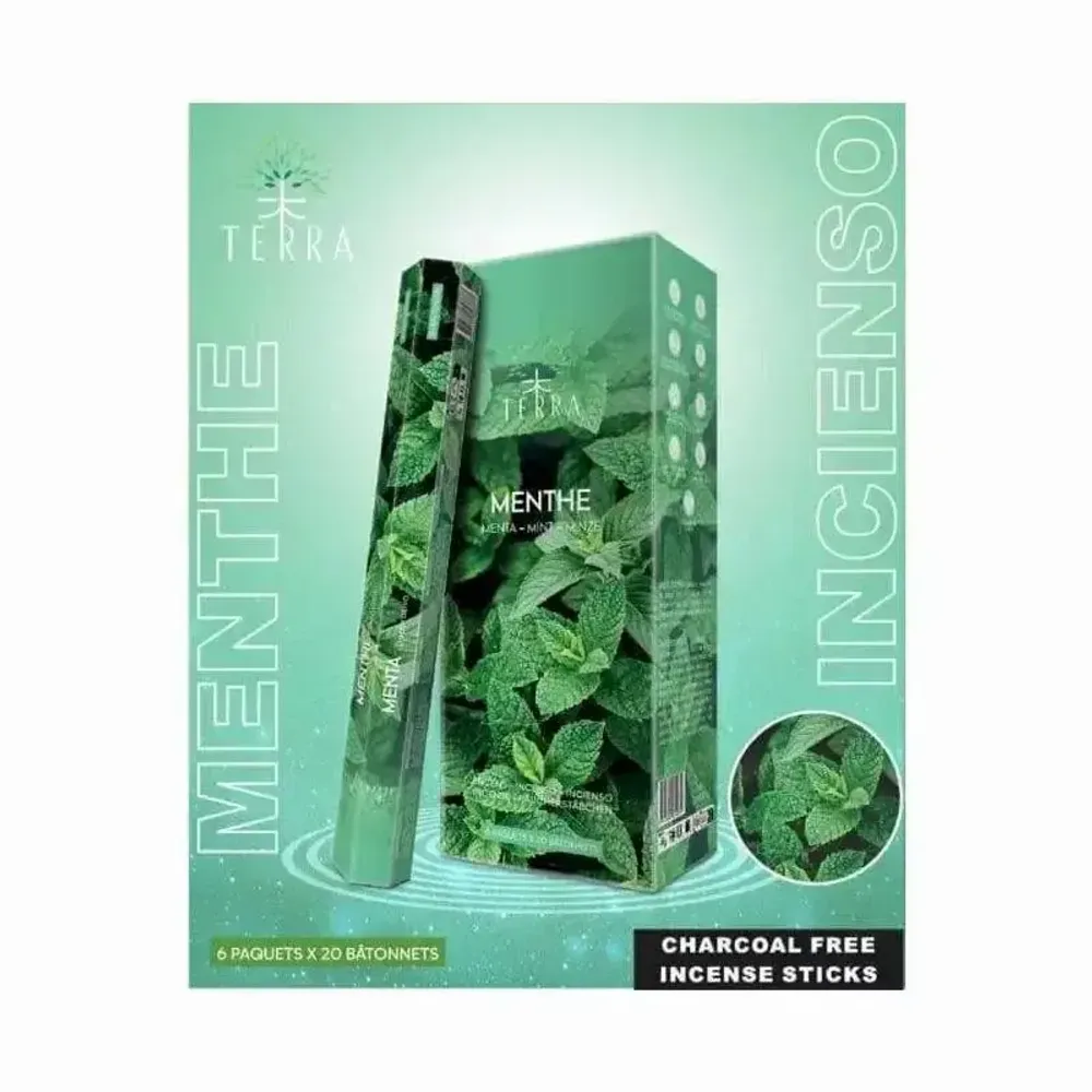 Senteurs - Encens Terra menthe hexa sans charbon 30grs - ARABESK