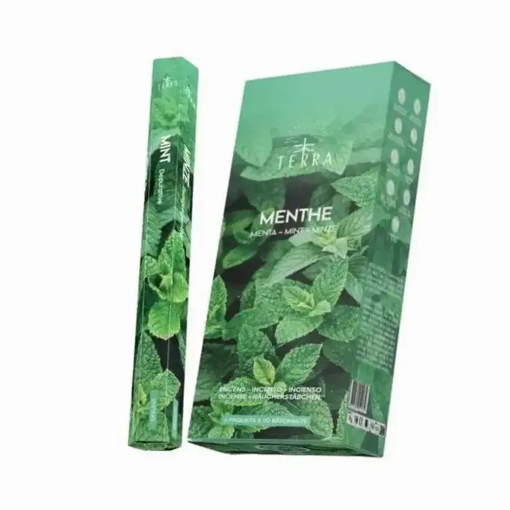 Senteurs - Encens Terra menthe hexa sans charbon 30grs - ARABESK