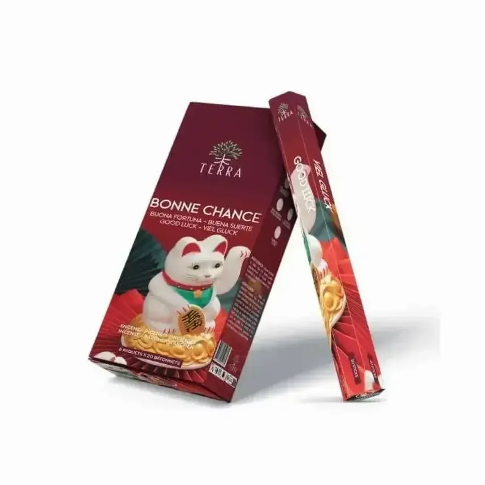 Senteurs - Encens Terra Bonne Chance hexa sans charbon - ARABESK