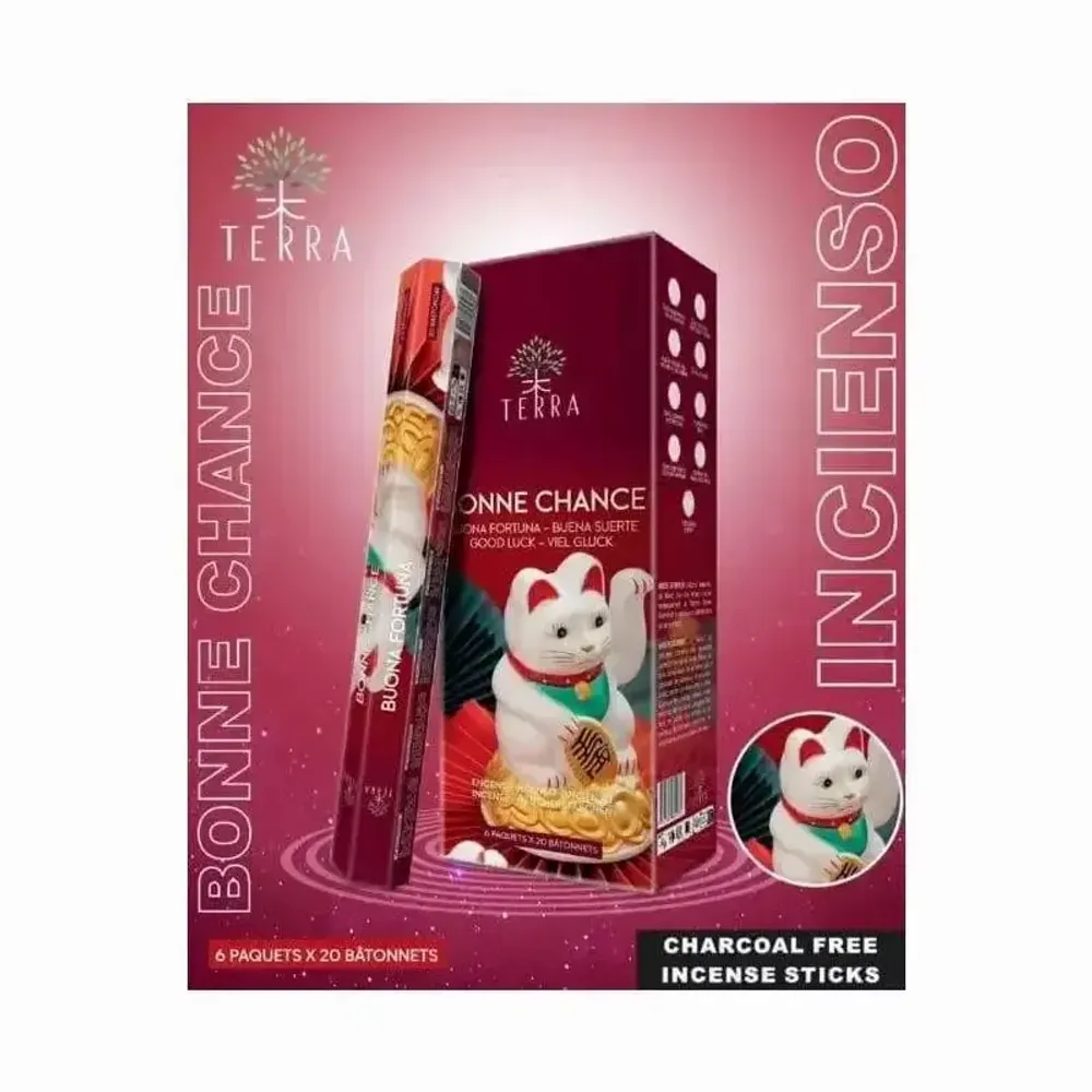Senteurs - Encens Terra Bonne Chance hexa sans charbon - ARABESK